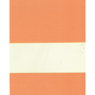 Ролеты тканевые Стандарт зебра цвет оранжевый 1090