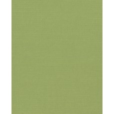 Ролеты тканевые Ара цвет зеленый 1058