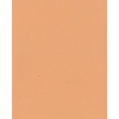 Ролеты тканевые Ара цвет персиковый 1051